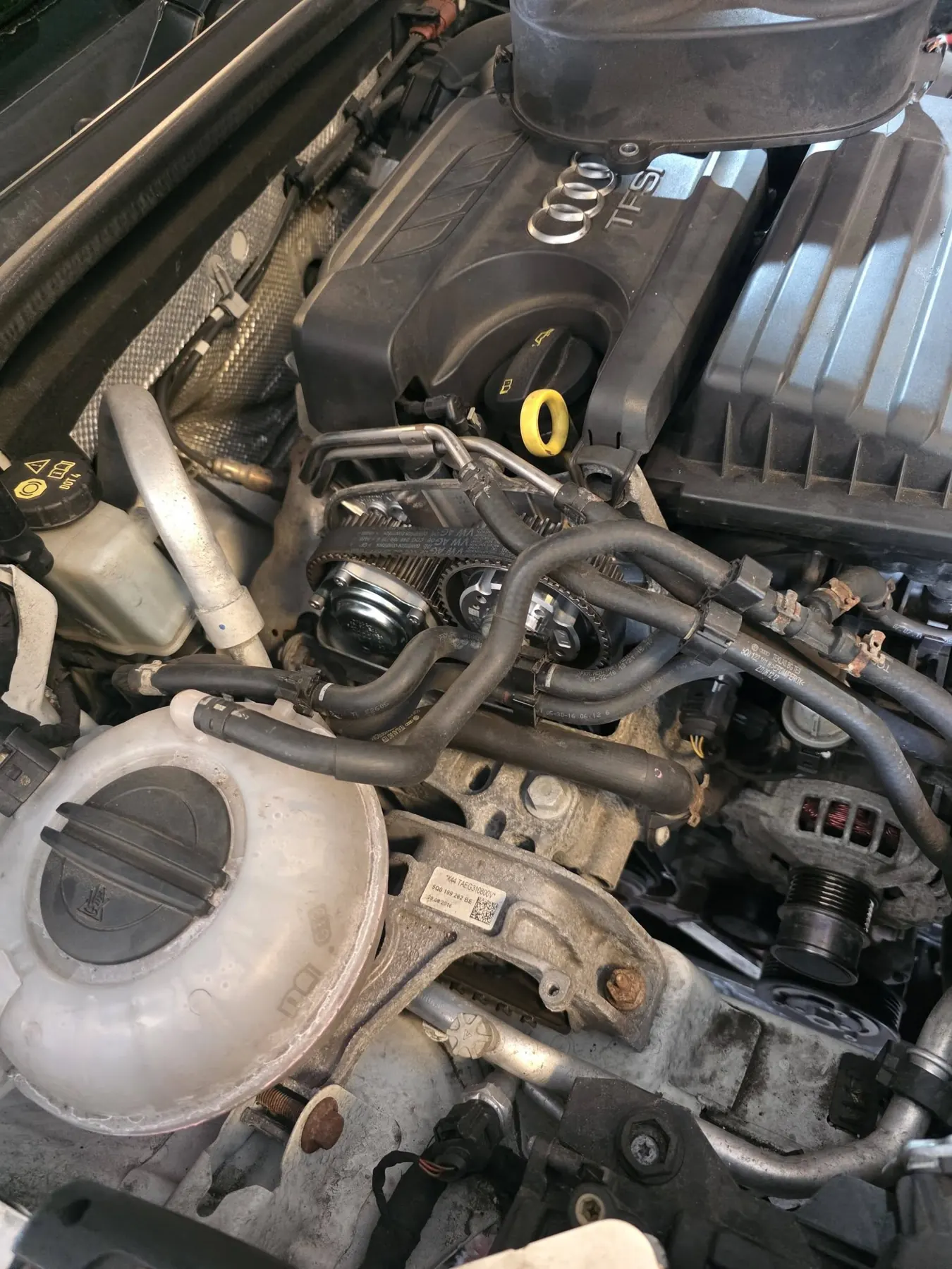 Timing Belt Replacement
