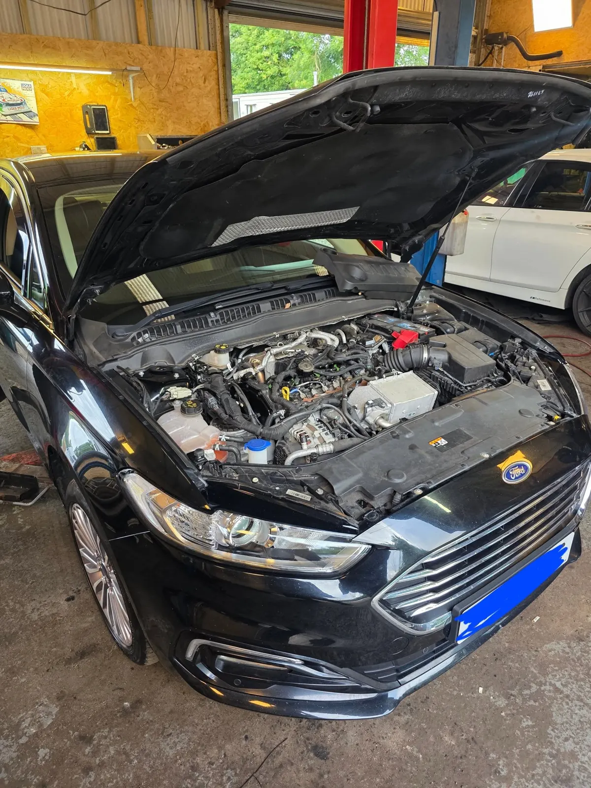 Ford Mondeo 2.0 EcoBlue wet belt replacement
