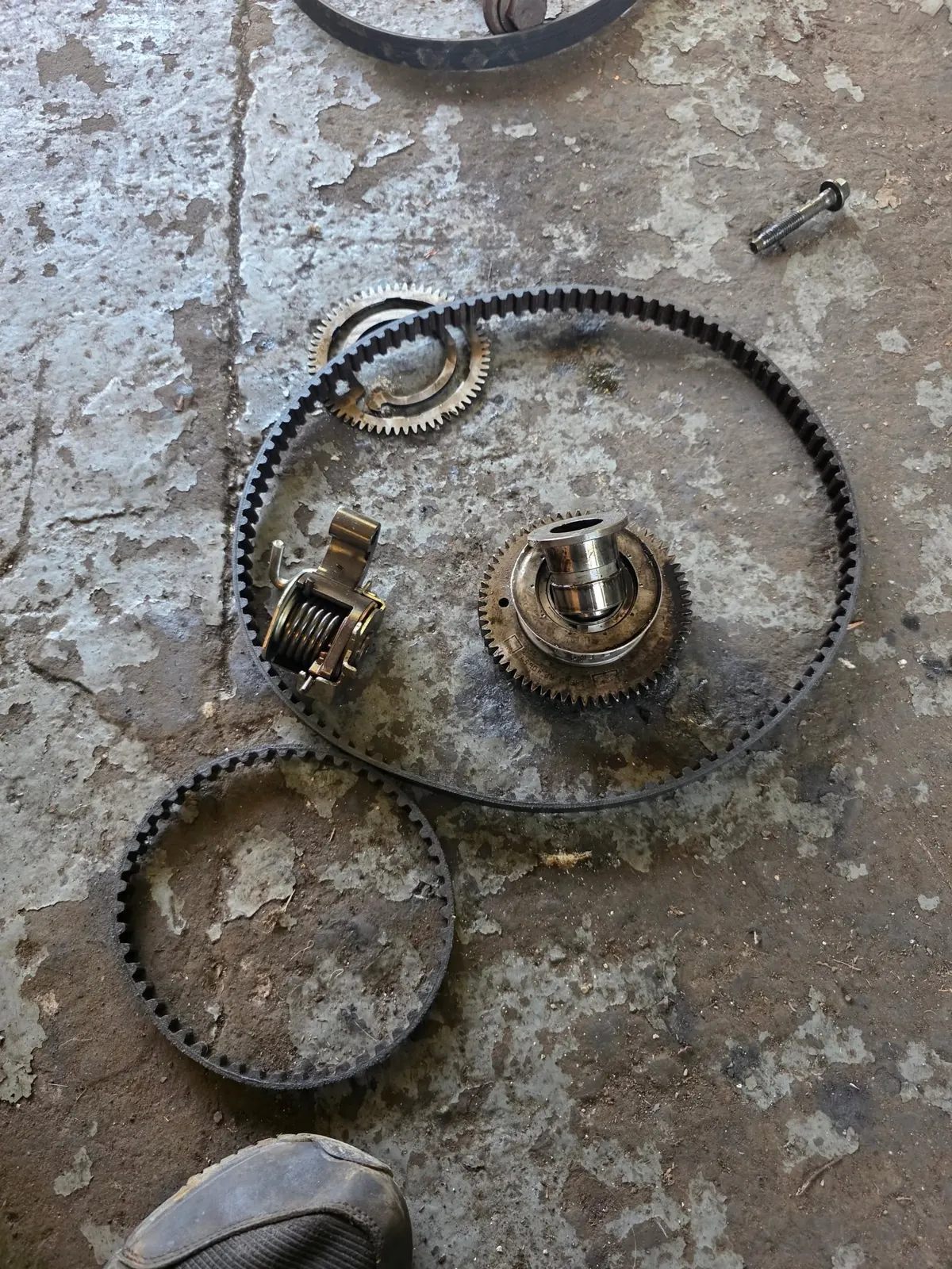 Wet belt replacement components